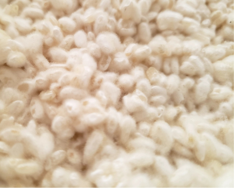 おべんとう作家のお仕事|オーガニック食堂「水曜発酵ごはん」